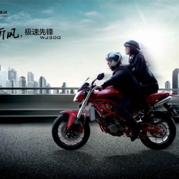 ������� ����WJ300